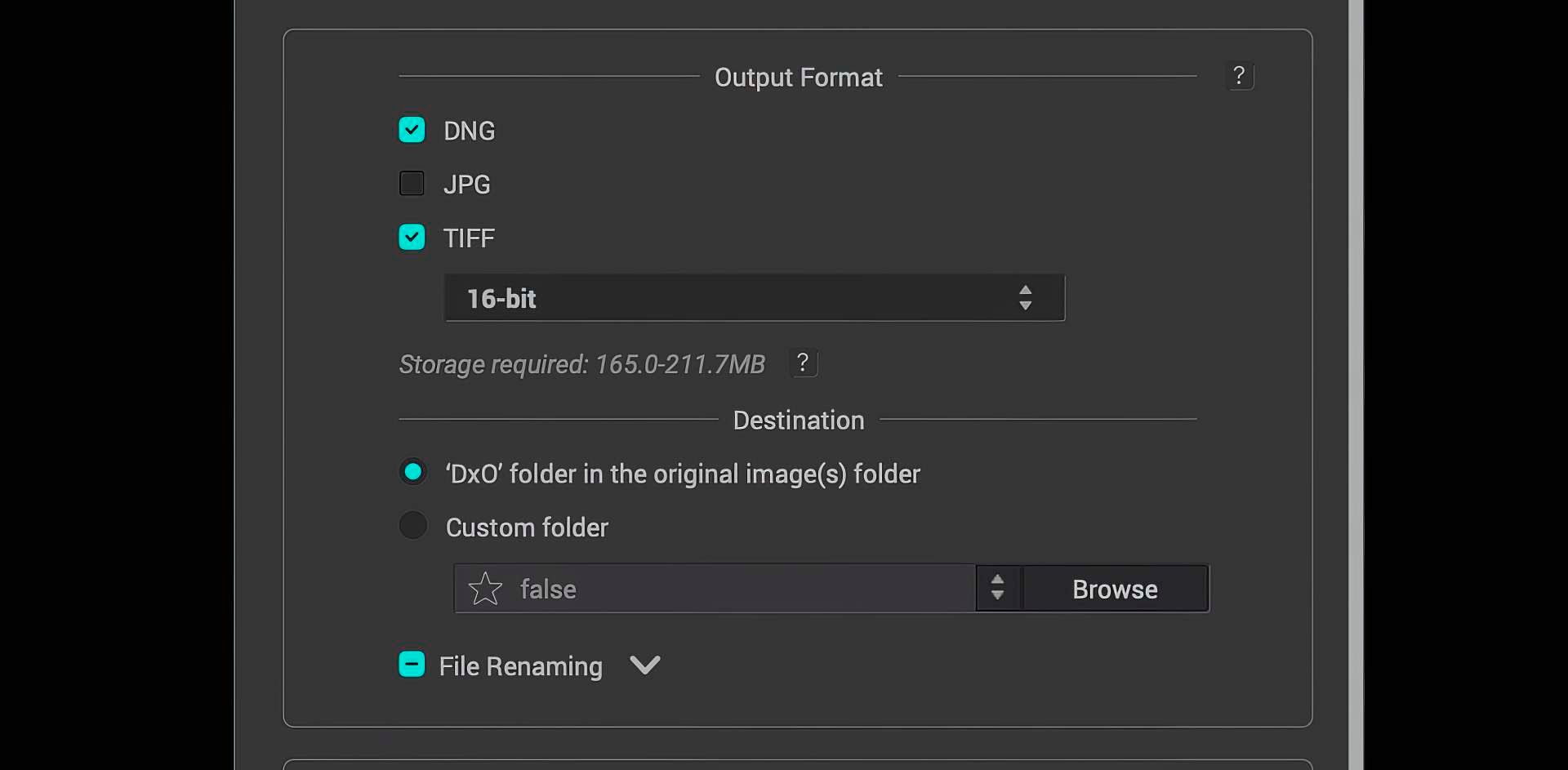"Output format" options in PureRaw 3