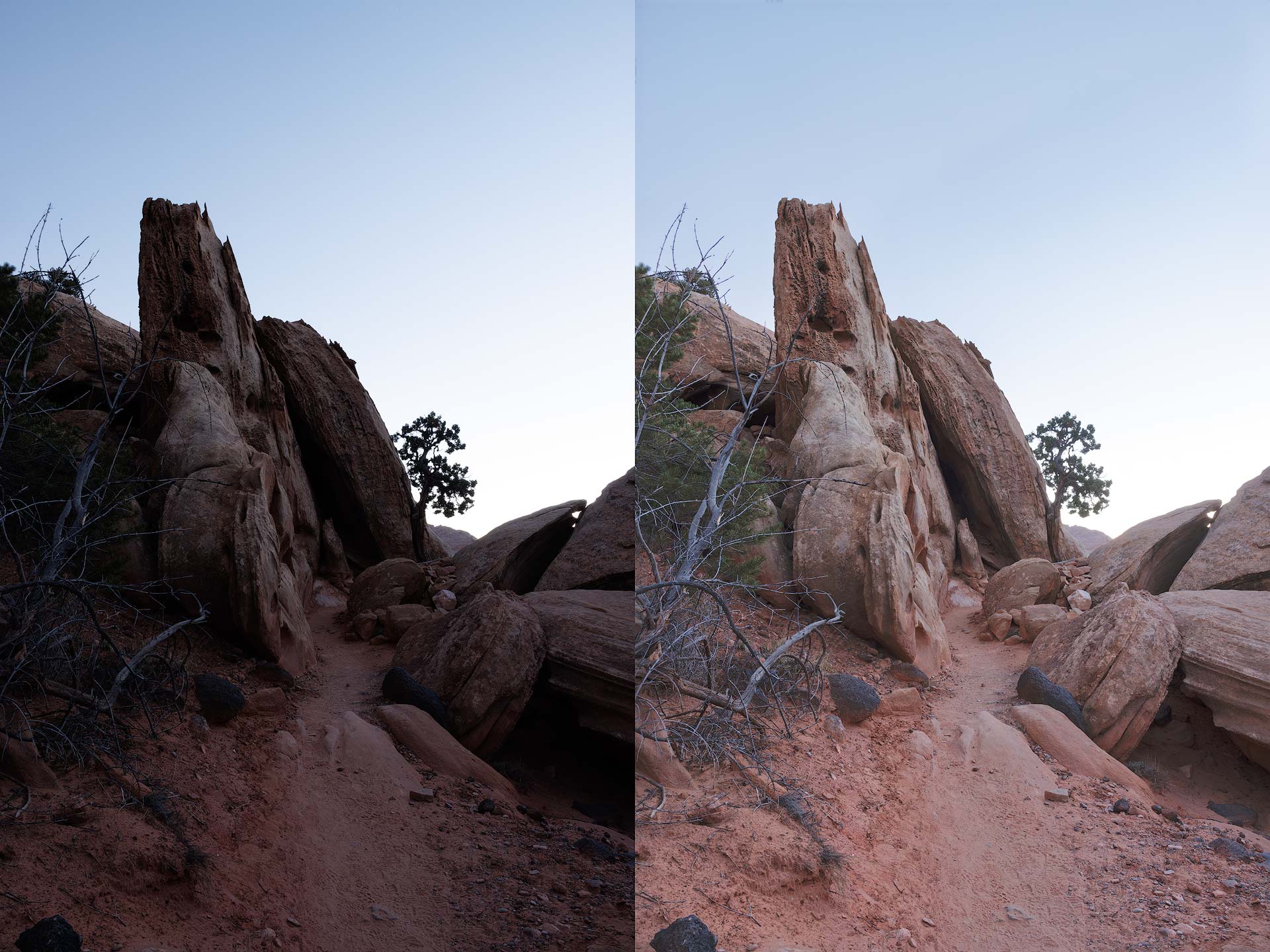 Before and after using Adjust Lighting tool in Topaz Labs Photo AI
